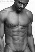 Foto Immagine Ricardo Boy Bologna 3381719064 - 9