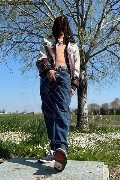 Foto Immagine Vex Boys Casarsa Della Delizia 3881963222 - 7